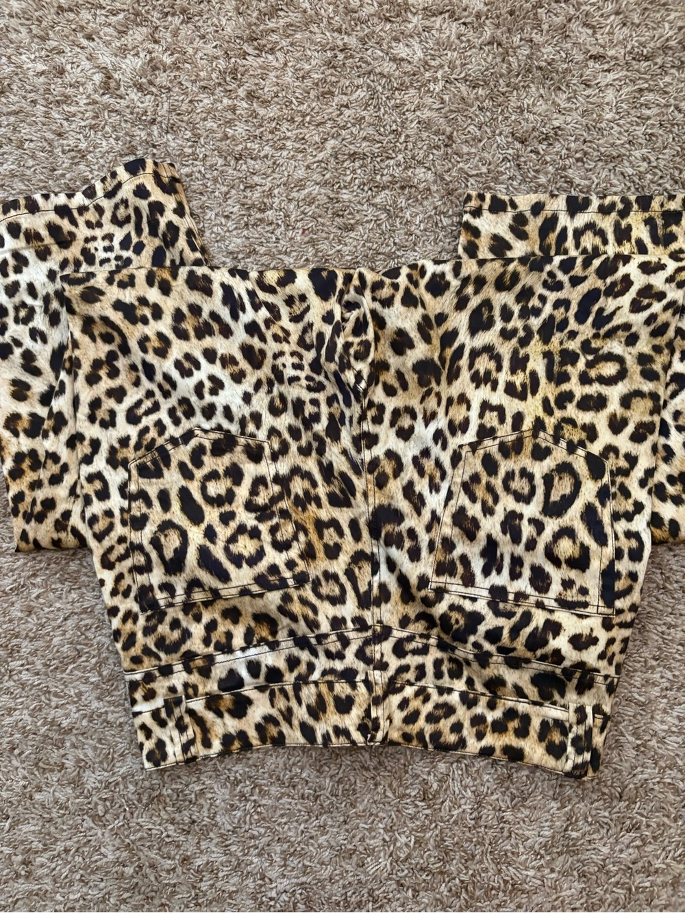 Zara Leopard Print pants